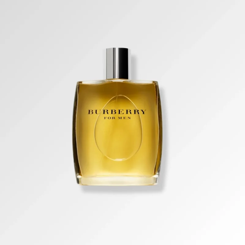 Burberry For Men EDT 100ML