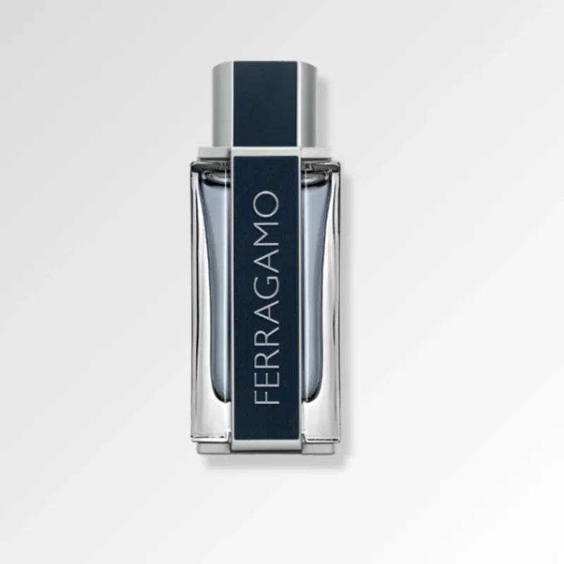 Salvatore Ferragamo Ferragamo For Men EDT 100ML
